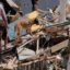Indonesian quake: Death toll climbs to 1,407