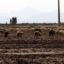 Iran risks losing 70pc of farmlands: environment chief
