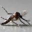 29 zika cases in Jaipur, outbreak remains localised, says Centre