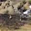 2 plane crashes in southern California in 24 hrs
